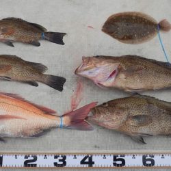 タイラバ、ライトジギング　釣船海援　